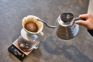 دماسنج دیجیتال کتل هاریو